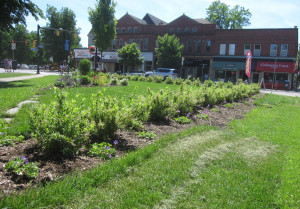 Garden-Bidwell-Buffalo-NY-1