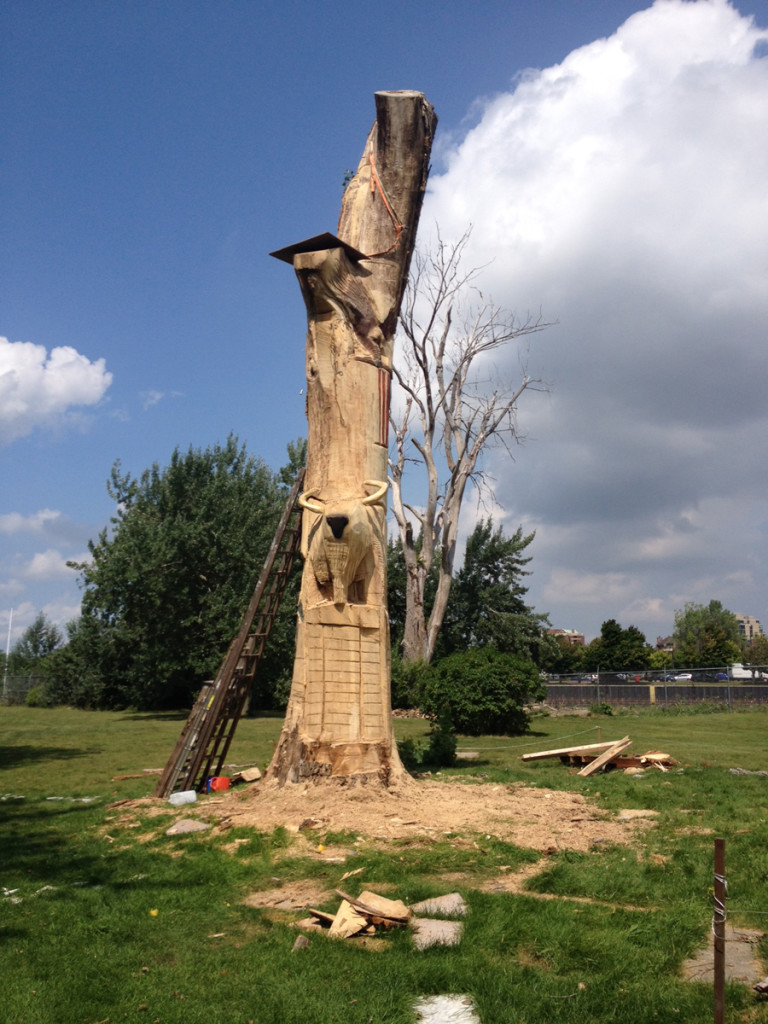 Last-tree-standing-Buffalo-NY