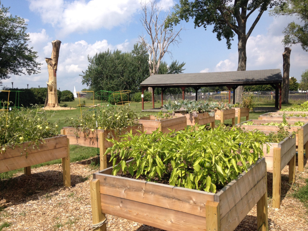 Raised-Beds-Sailing-Buffalo-NY