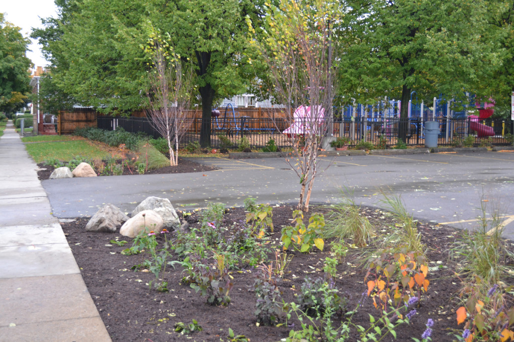 rain-garden-kids-Buffalo-NY-2