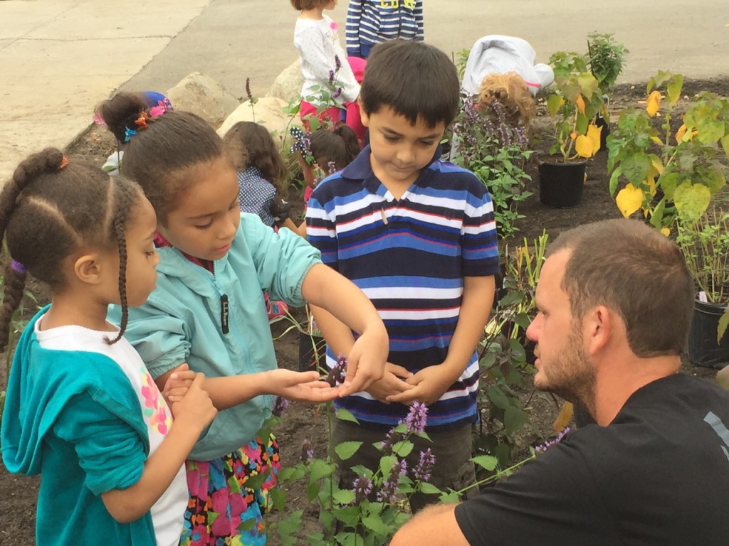 rain-garden-kids-Buffalo-NY-3