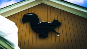 Black-Squirrel-Distillery-Buffalo-NY-1