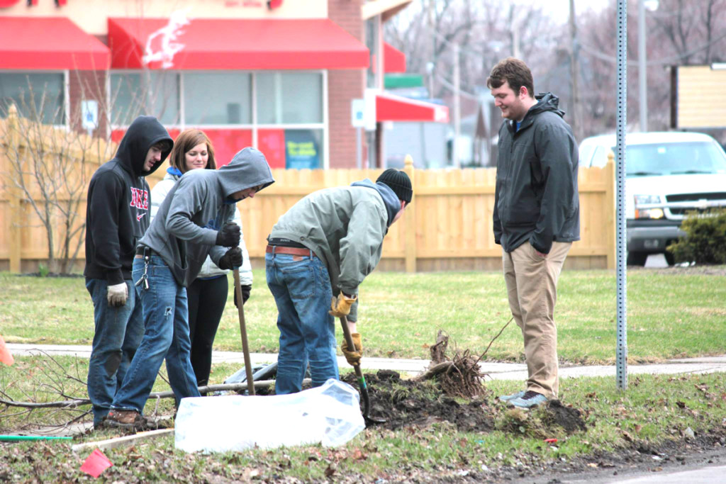 Tool-plantings-Buffalo-NY