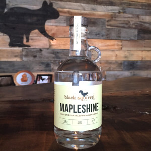 Mapleshine-Buffalo-NY-1