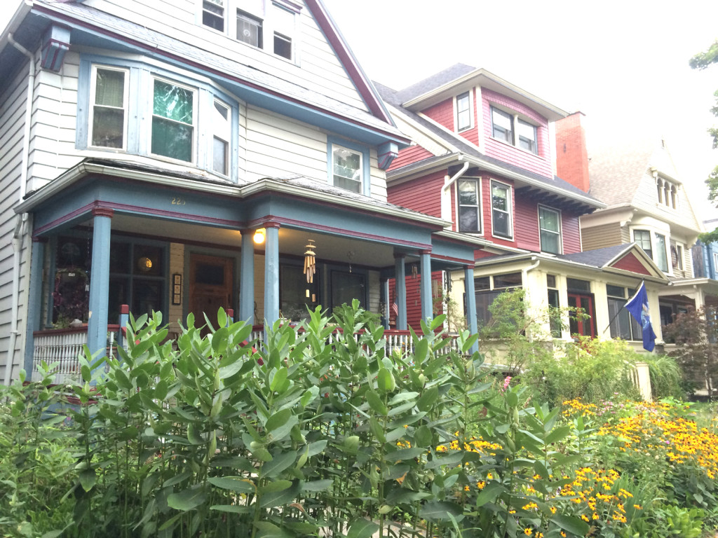 Milkweed-Buffalo-House-NY-1