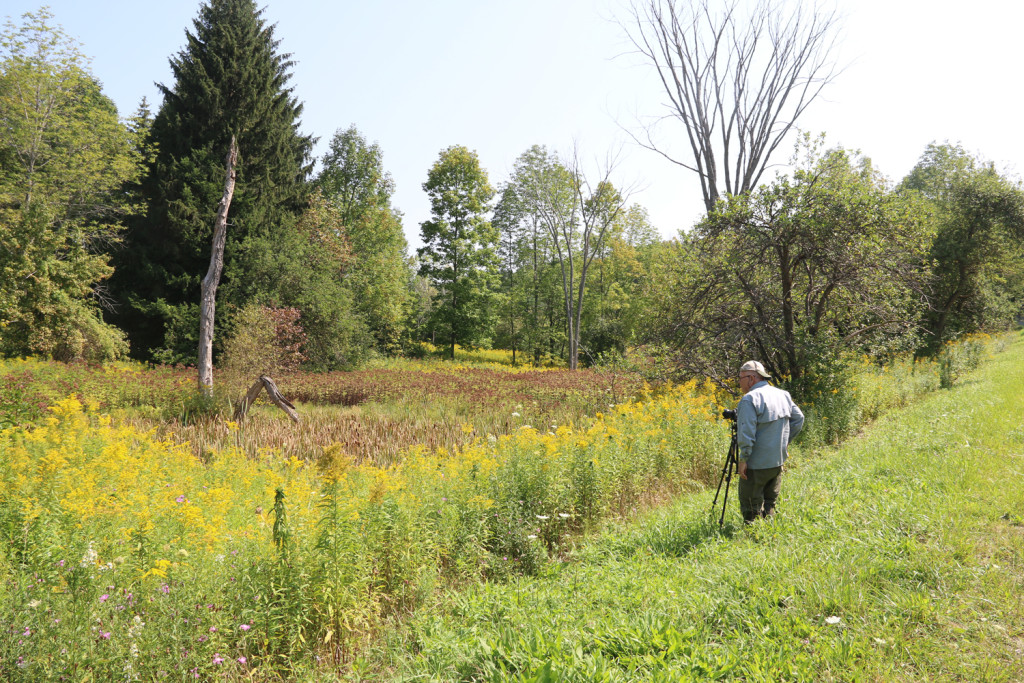 18-Mile-Creek-Buffalo-NY