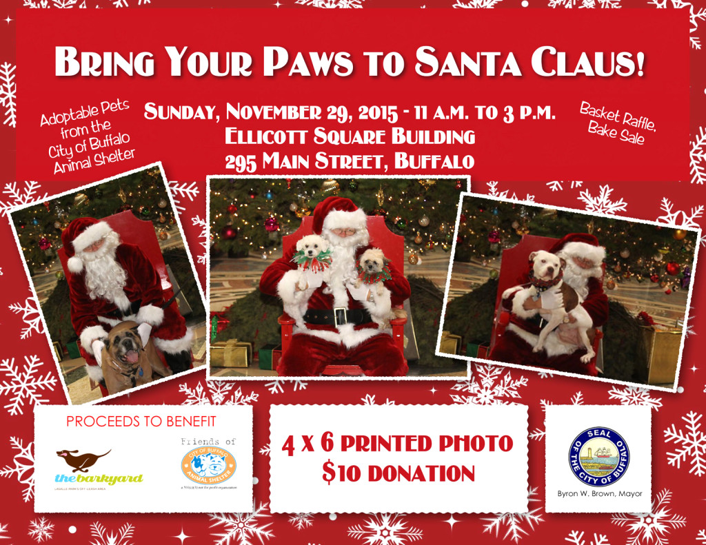 Holiday-Pets-Buffalo-NY