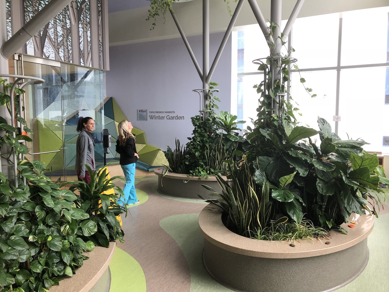 The Winter Garden At Children S Hospital Buffalo Rising