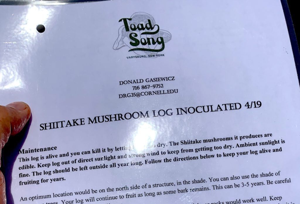 Information and directions for growing your own Toad Song shitake mushrooms