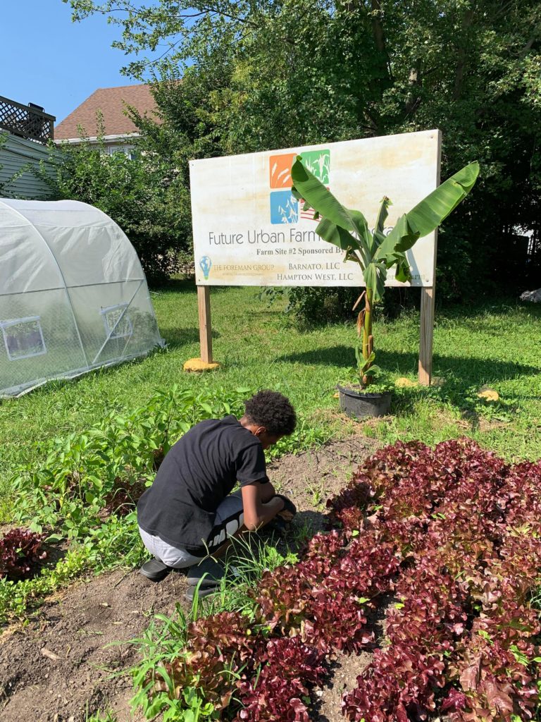 Future Urban Farmers Program - photo of a young man farming - program intern Randy Hayes who is learning crop management.