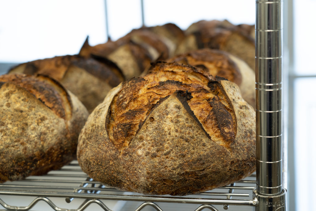 Photo of crisped bread loaves