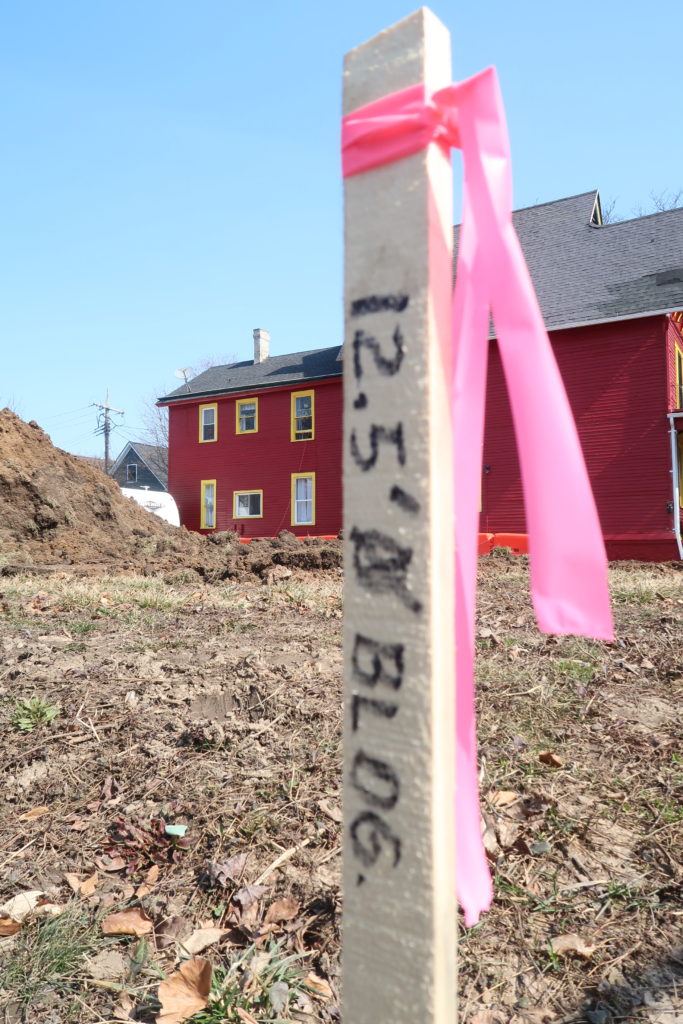 Stick with pink ribbon on it marking the site