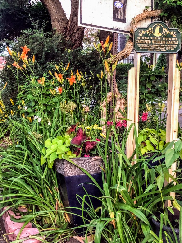 Photo of a garden and a Certified National Habitat sign