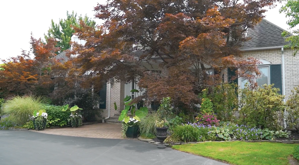 Beautifully landscaped garden done by The English Gardener