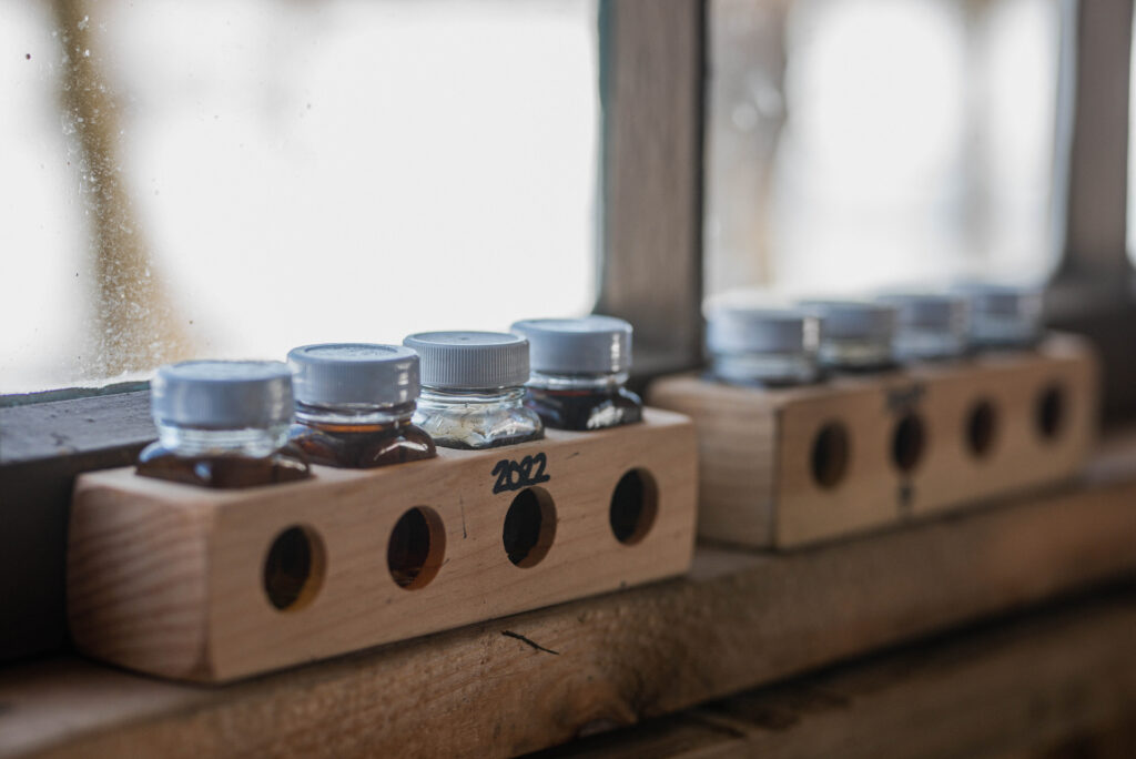 A collection of maple syrups