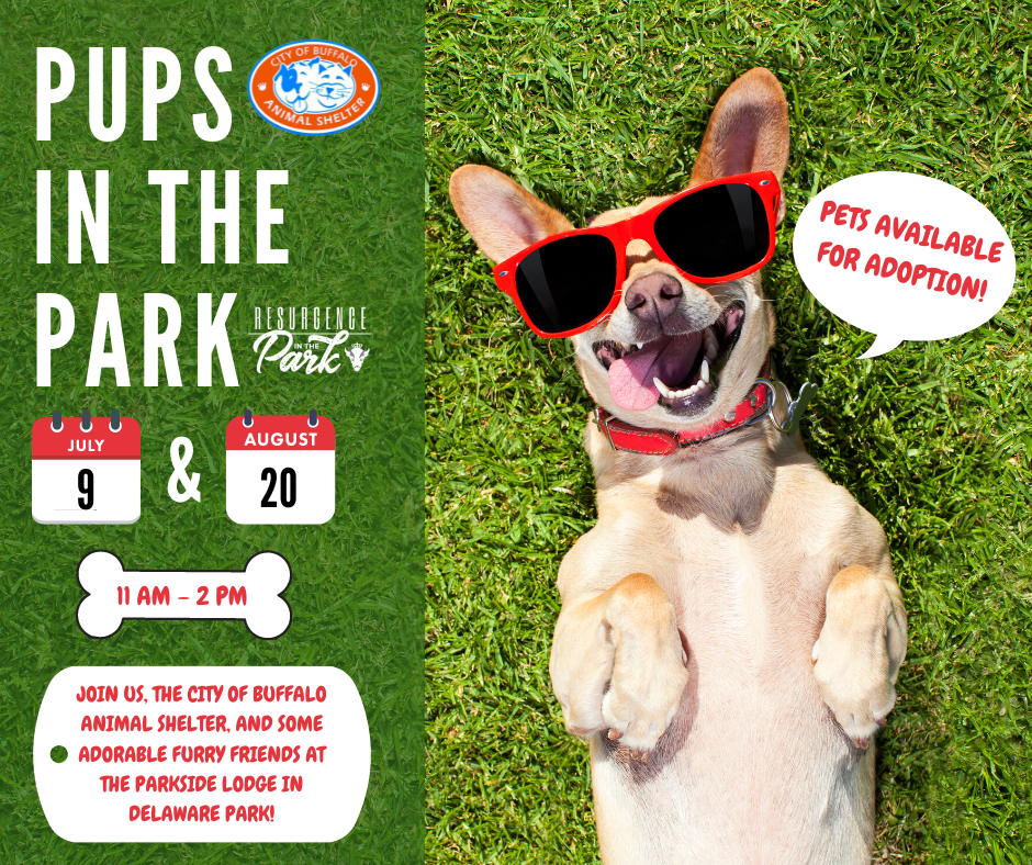 2023 Pups in the Park Two Dates! Buffalo Rising
