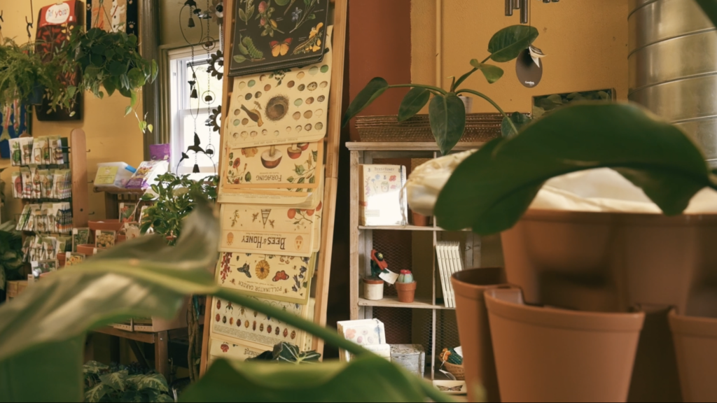 Pots, seeds, plants and other necessities for a successful indoor garden