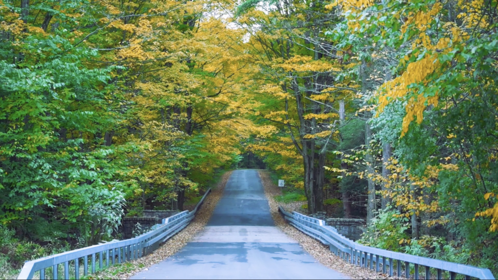 Driving into Chestnut Ridge Park as the foliage begins to change